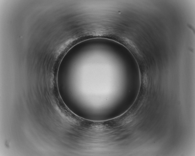 X0000099520540200805151527