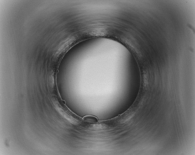 X0000099520541200805151527