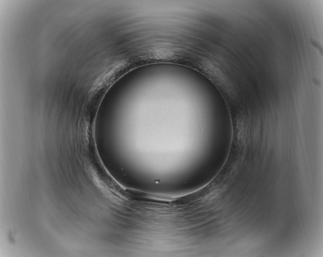 X0000099520542200805151527