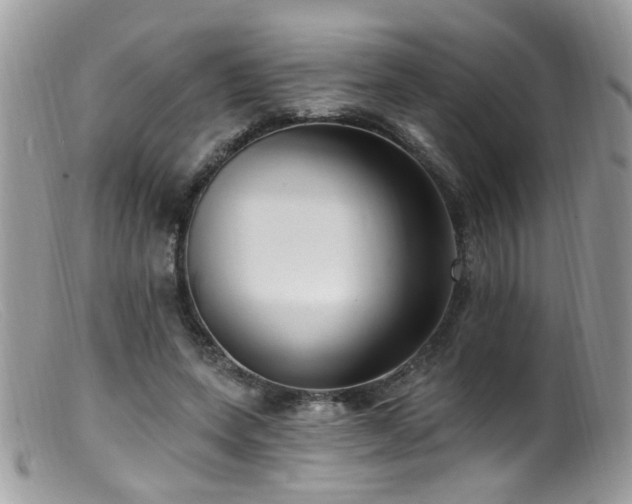X0000099520543200805151527