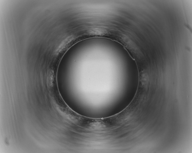 X0000099520544200805151527