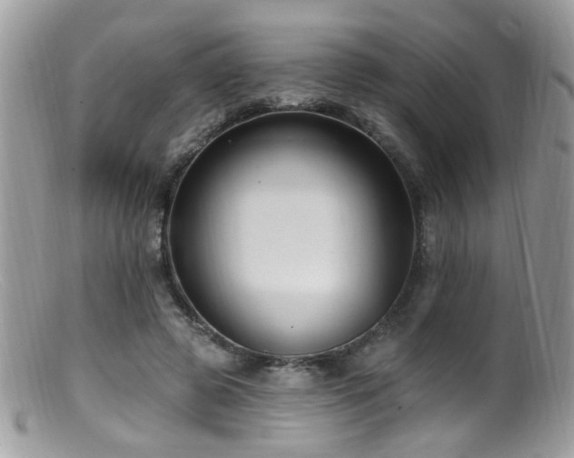 X0000099520545200805151528