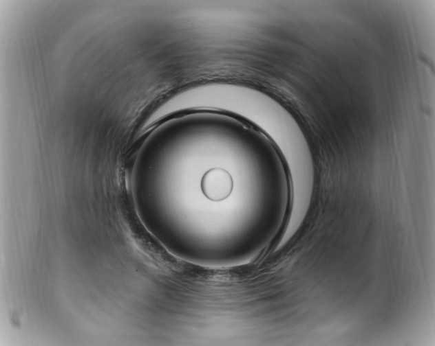 X0000099520546200805151528