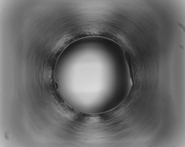 X0000099520548200805151528