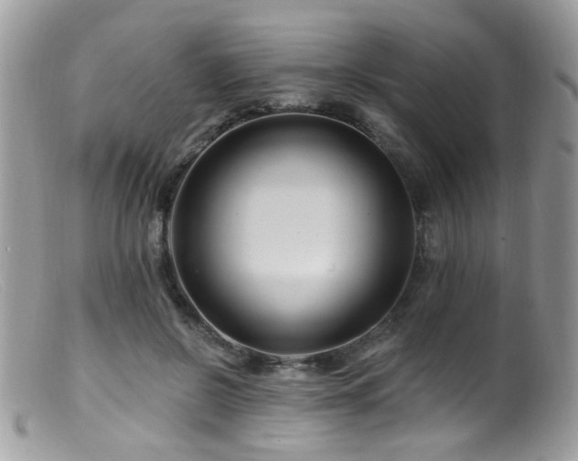 X0000099520550200805151528
