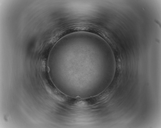 X0000099520551200805151528