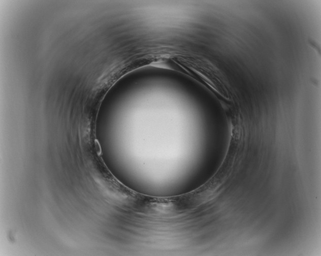 X0000099520552200805151528