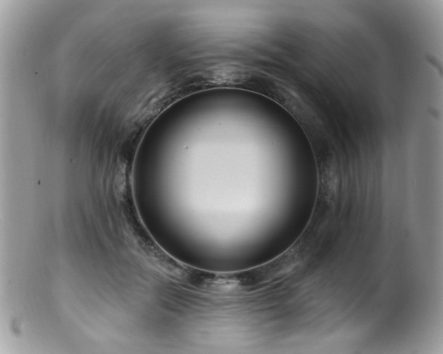 X0000099520554200805151528