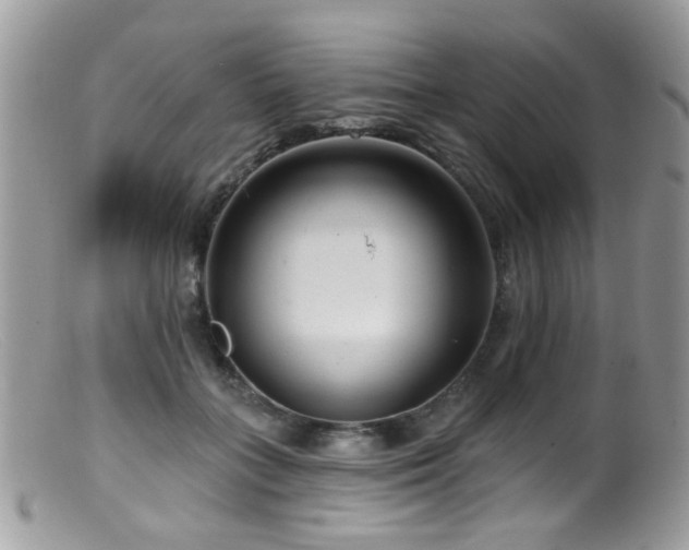 X0000099520555200805151528