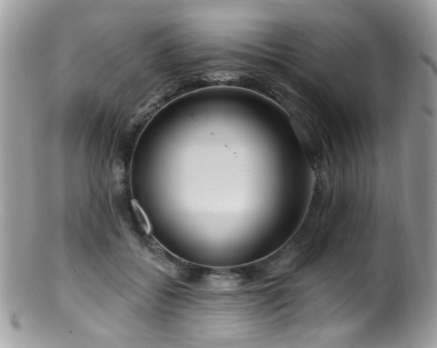 X0000099520556200805151528