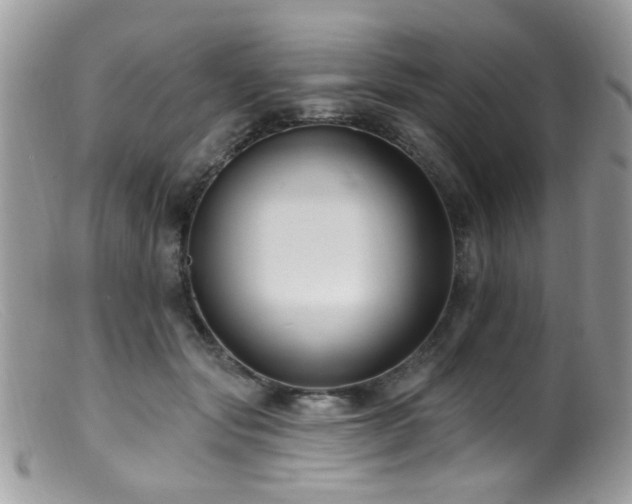 X0000099520557200805151528