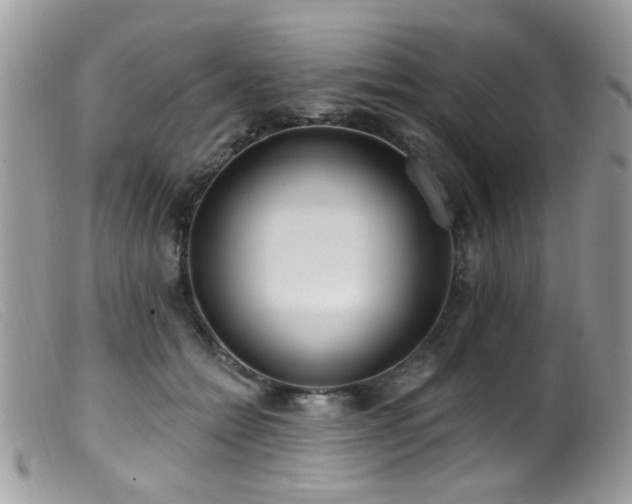 X0000099520558200805151528