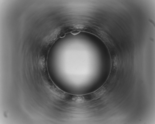 X0000099520559200805151528