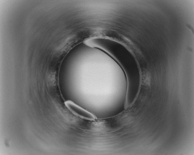 X0000099520560200805151528