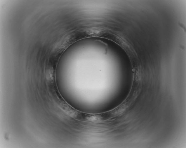 X0000099520561200805151528