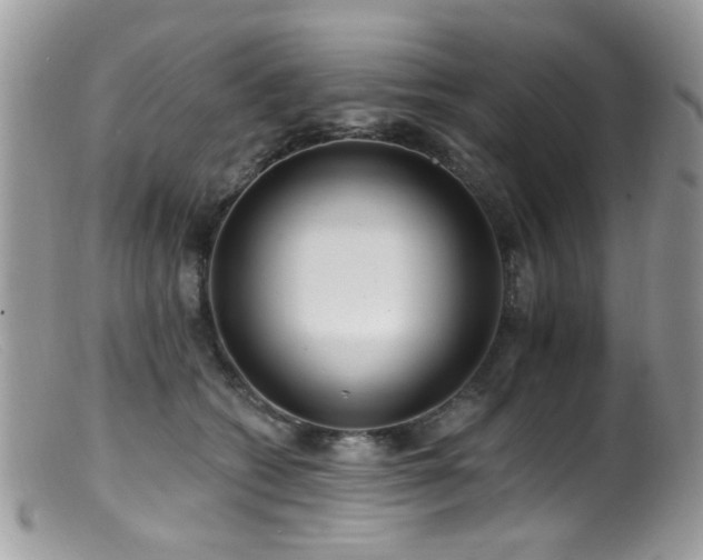 X0000099520562200805151528