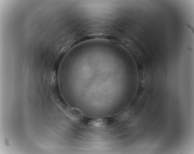 X0000099520563200805151528