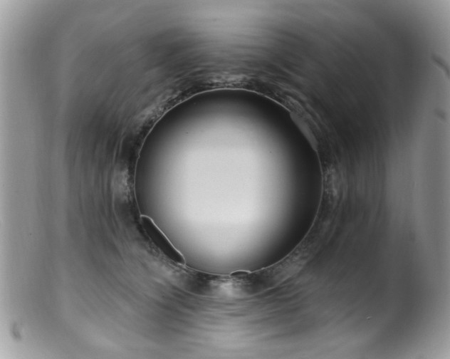 X0000099520564200805151528