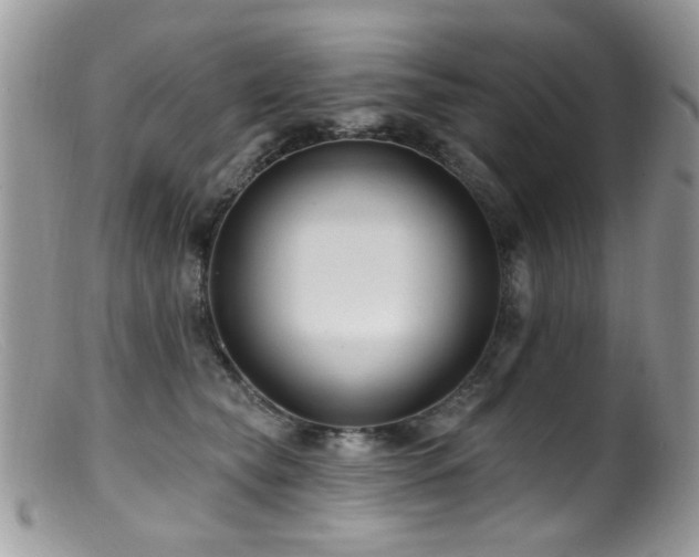 X0000099520565200805151528