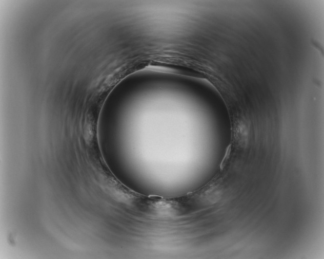 X0000099520566200805151528