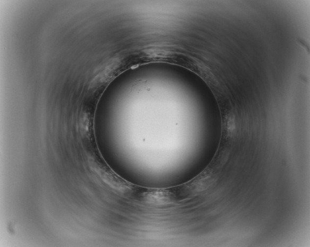 X0000099520567200805151528