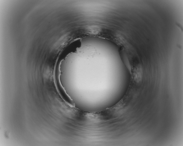 X0000099520568200805151528