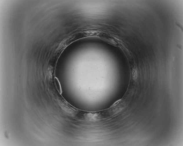 X0000099520570200805151528