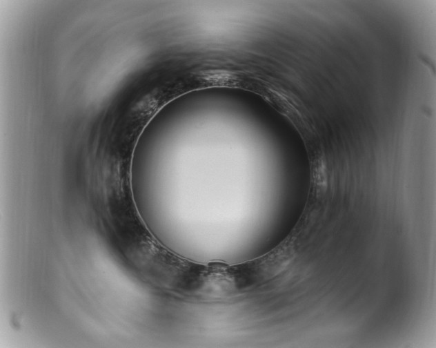 X0000099520572200805151528