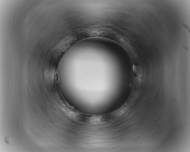 X0000099520574200805151528