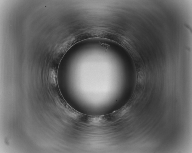 X0000099520575200805151528