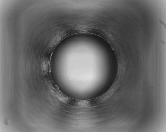 X0000099520576200805151528