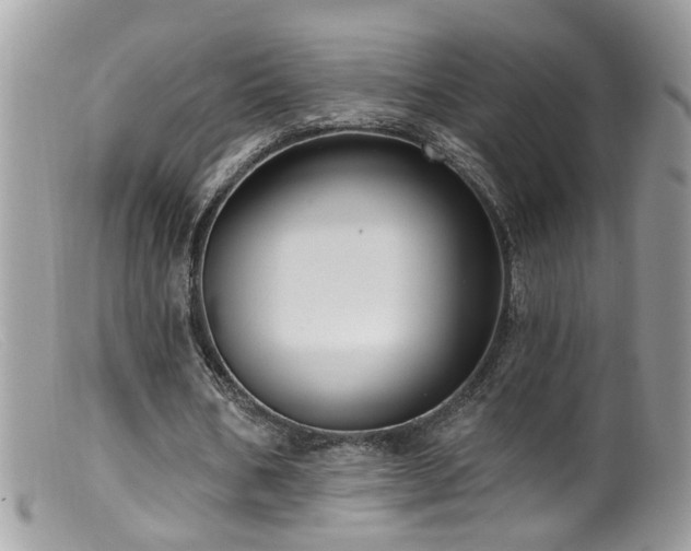 X0000099520578200805151527