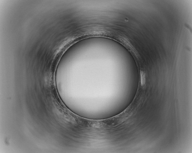 X0000099520579200805151527