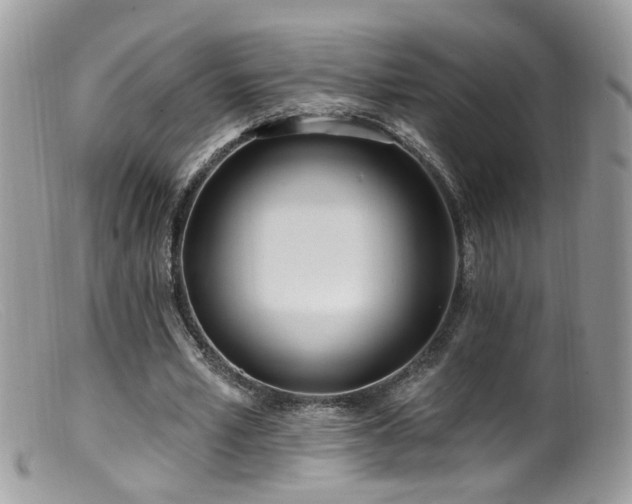 X0000099520581200805151527