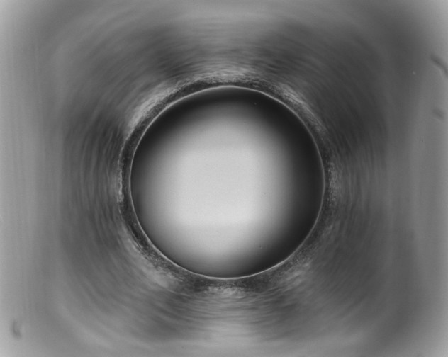 X0000099520582200805151527
