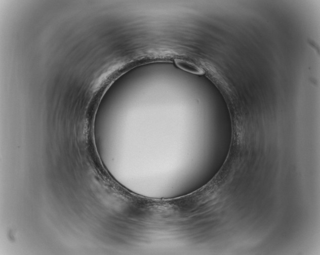 X0000099520583200805151527