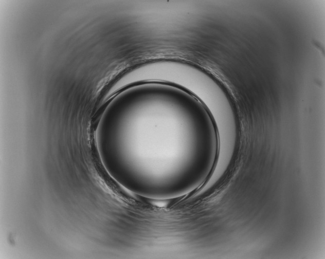 X0000099520585200805151527