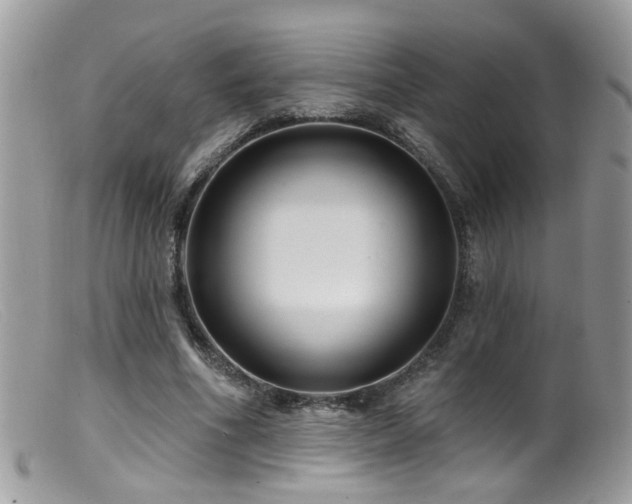X0000099520586200805151527