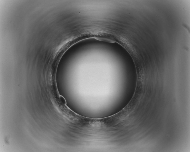 X0000099520587200805151527