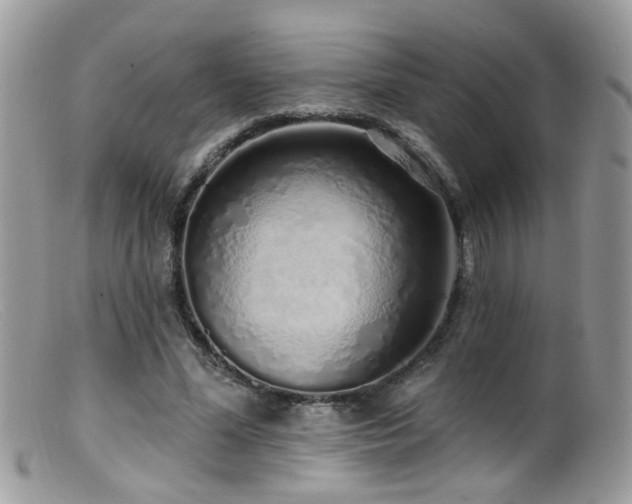 X0000099520588200805151527