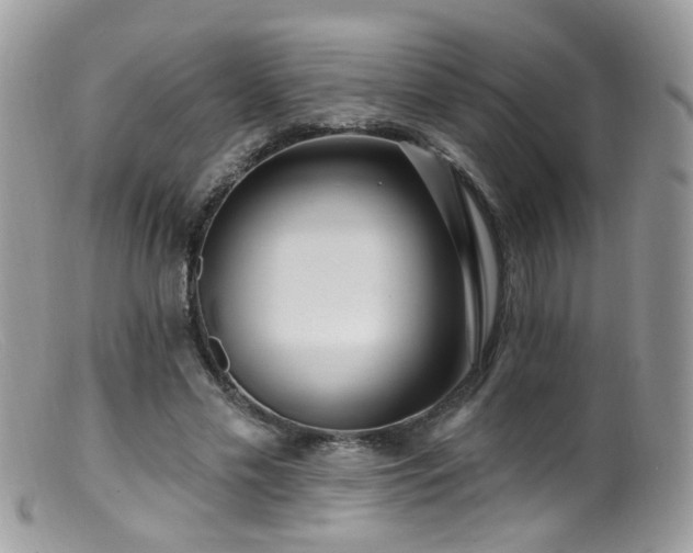 X0000099520589200805151527