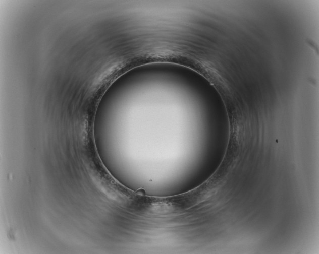 X0000099520591200805151527