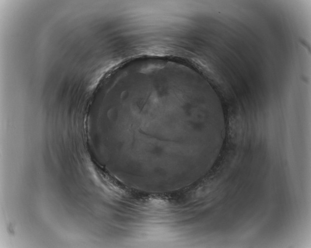 X0000099520592200805151527