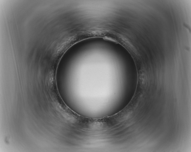 X0000099520593200805151527