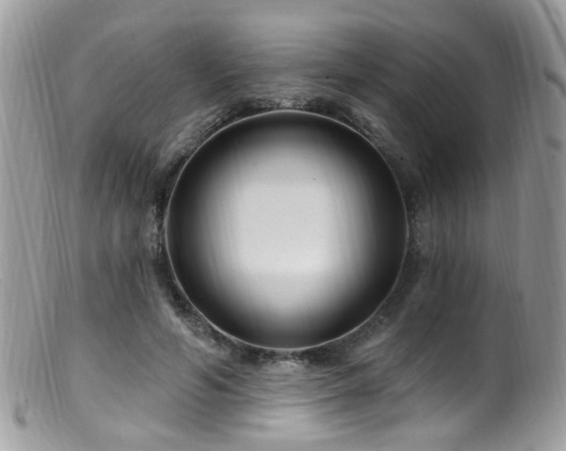 X0000099520594200805151527