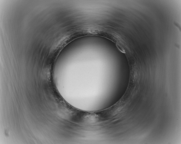 X0000099520595200805151527