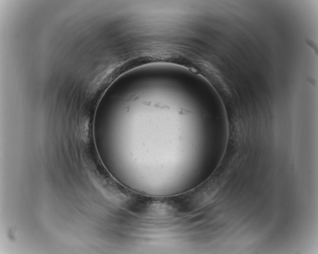 X0000099520596200805151527