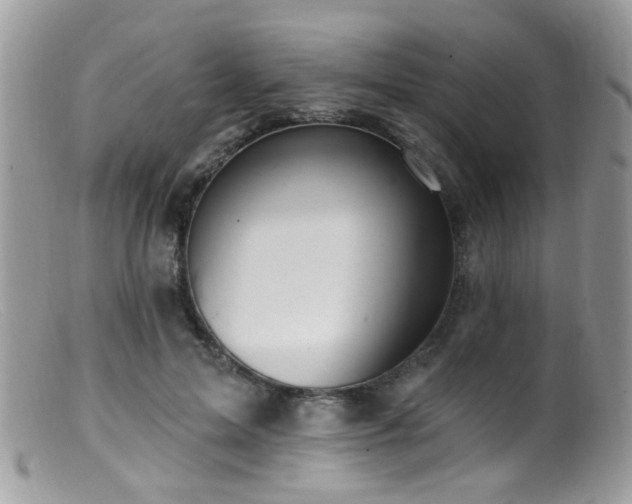 X0000099520599200805151527