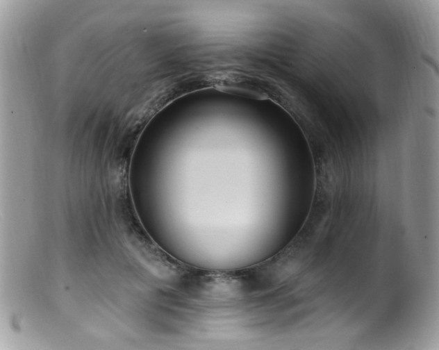 X0000099520601200805151527