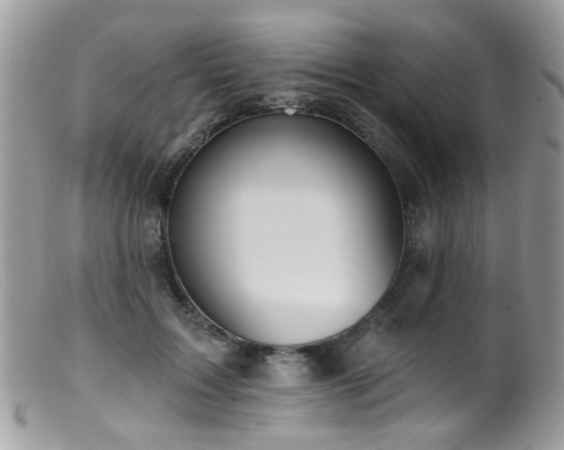 X0000099520603200805151527